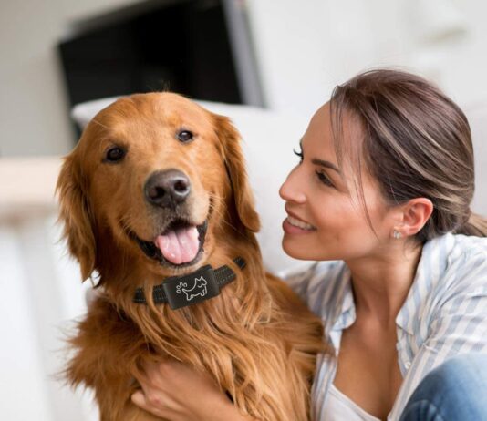 Mitoo Anti Bark Collar Review