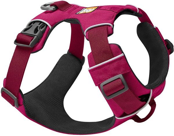 Ruff-Wear Harnesses Whippet Dog