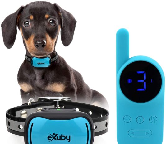 Shock Collar for Small dogs 4lb Dog Shock collar for 4lb dog