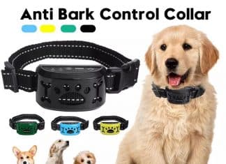 Strongest Bark Shock Collar