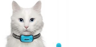 Exuby Tiny Shock Collar for Cats