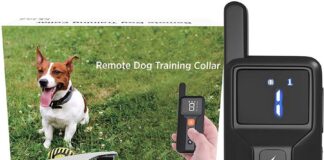 ENRIVIK Small Size Dog Training Collar