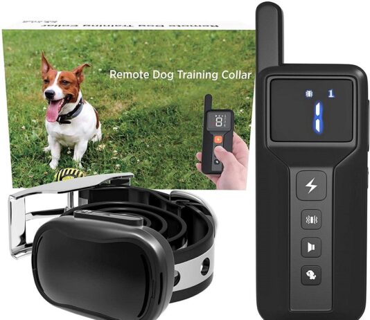 Enrivik Small Size Dog Training Collar Review ENRIVIK Small Size Dog Training Collar