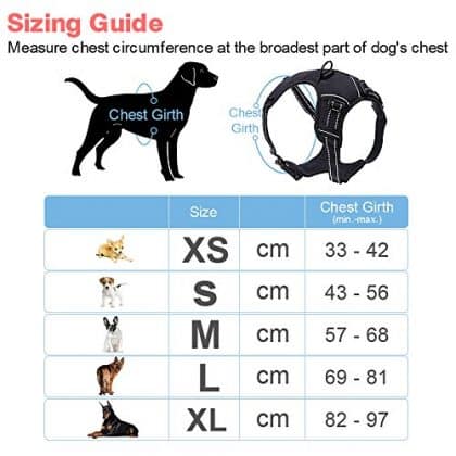 Eagloo Dog Harness Size Chart | Eagloo No Pull Front Clip Large Dog Harness