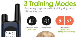 NVK Shock Collars for Dogs