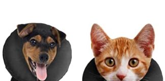 Protective Collar for Cats and Dogs