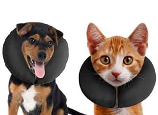 Protective Collar for Cats and Dogs
