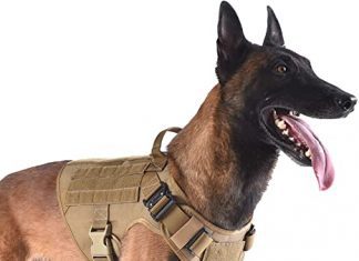 ICEFANG Tactical Dog Harness K9