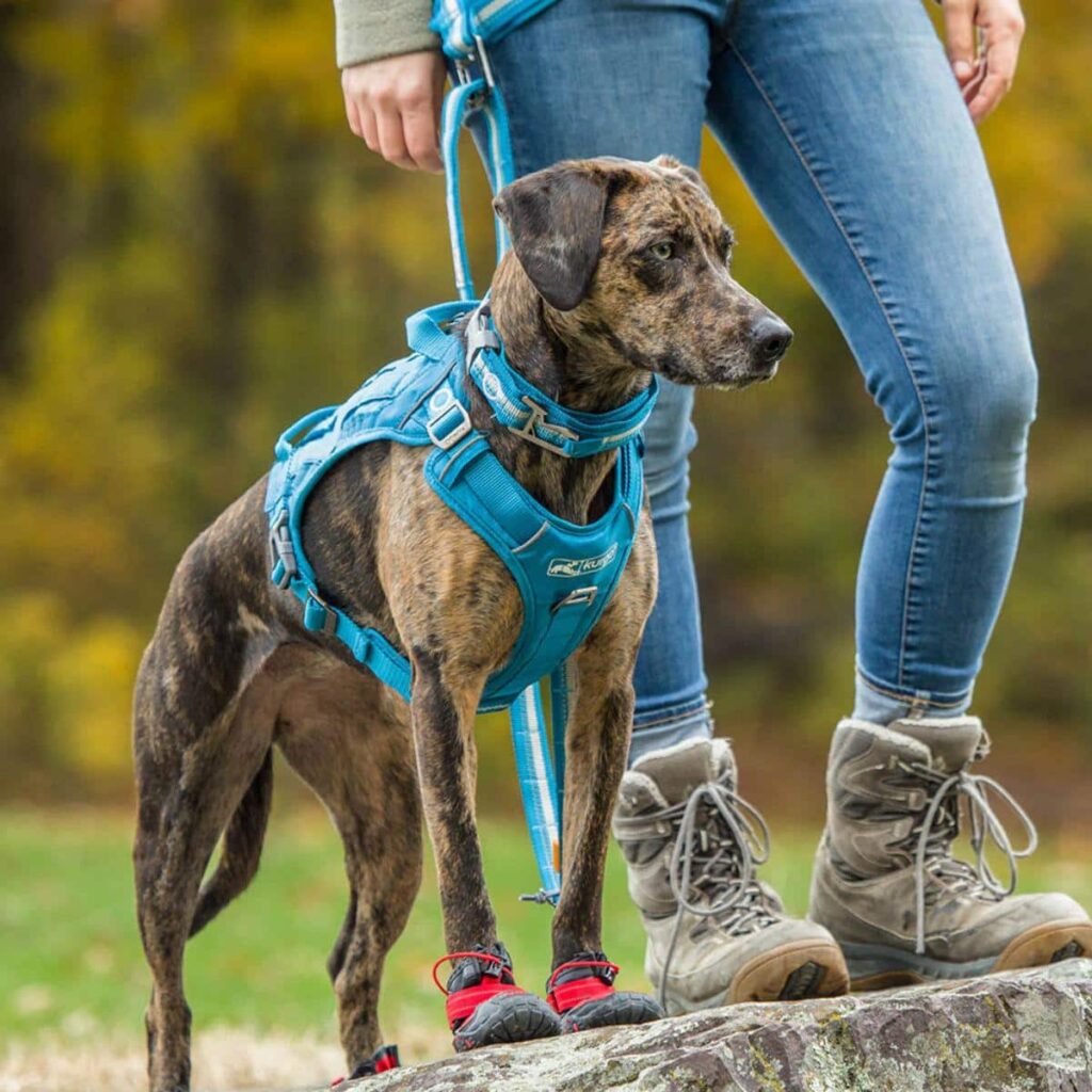 Best Dog KURGO Walking Harnesses Best no Pull Dog Harness