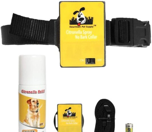 Downtown Pet Supply Citronella Spray Collar