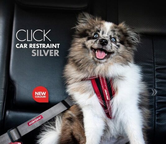 EZYDOG Click Adjustable Car Restraint Review