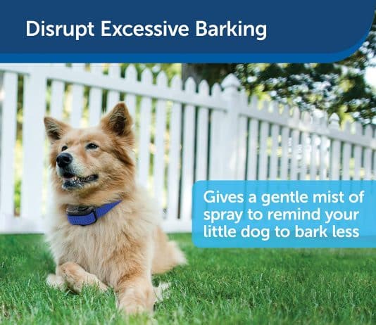 PetSafe Elite Bark Control Collar