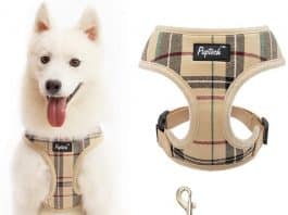 PUPTECK Dog Harness Comfort Padded Vest