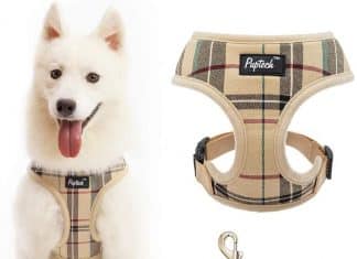 PUPTECK Dog Harness Comfort Padded Vest