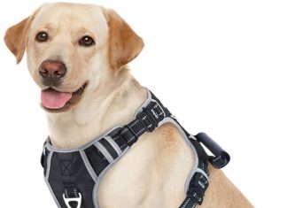 Dog Harness For Small Dogs No Pull
