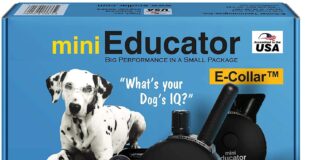 Ecollar Dog Training Collar