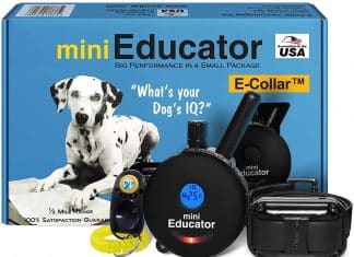 Ecollar Dog Training Collar