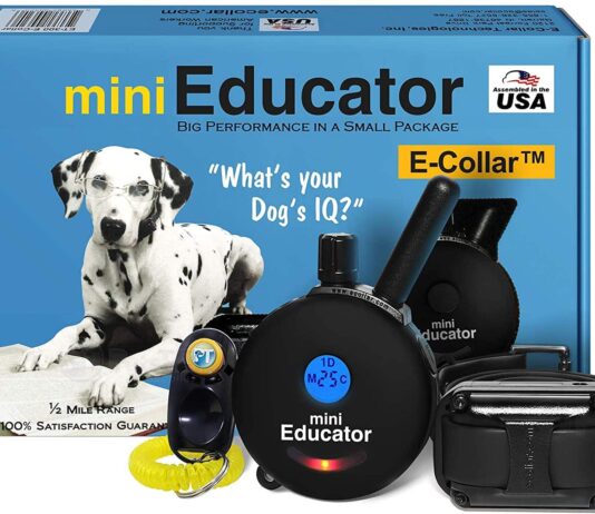 Ecollar Dog Training Collar