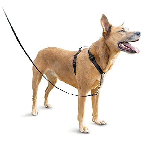 petsafe 3in1 harness from the makers of the easy walk harness fully