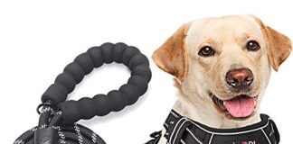 tobeDRI No Pull Dog Harness Adjustable Reflective Oxford Easy Control Medium Large Dog Harness with A Free Heavy Duty 5ft Dog Leash (L (Neck: 18"-25.5", Chest: 24.5"-33"), Black Harness+Leash)