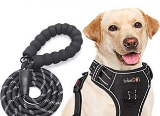 tobeDRI No Pull Dog Harness Adjustable Reflective Oxford Easy Control Medium Large Dog Harness with A Free Heavy Duty 5ft Dog Leash (L (Neck: 18"-25.5", Chest: 24.5"-33"), Black Harness+Leash)