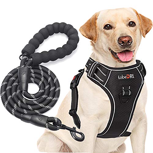tobeDRI No Pull Dog Harness Adjustable Reflective Oxford Easy Control Medium Large Dog Harness with A Free Heavy Duty 5ft Dog Leash (L (Neck: 18