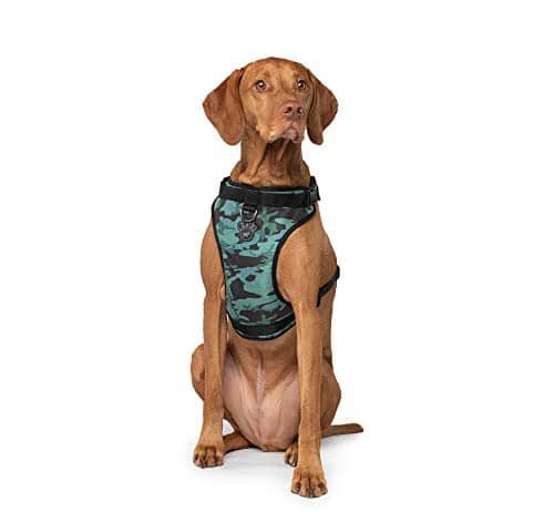 canada pooch everything dog harness no pull adjustable dog walking harness camo