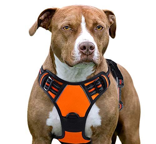 eagloo dog harness no pull walking pet harness with 2 metal rings and handle 1