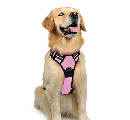 rabbitgoo dog harnessno pull pet harness with 2 leash clips adjustable soft