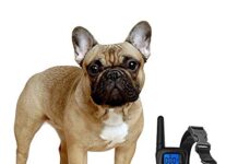 eXuby Shock Collar for Small Dogs with Remote - Includes 2 Collars - Small & Medium and Training Clicker – 3 Modes (Sound, Vibration & Shock) with Rechargeable Batteries