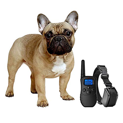 eXuby Shock Collar for Small Dogs with Remote - Includes 2 Collars - Small & Medium and Training Clicker – 3 Modes (Sound, Vibration & Shock) with Rechargeable Batteries