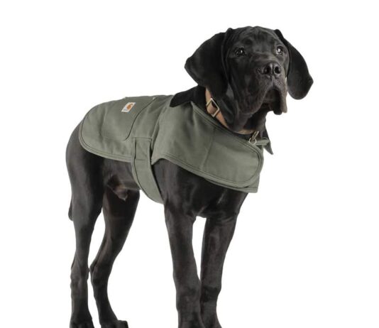 Carhartt Dog Harness