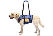 Best Dog Lift Harness