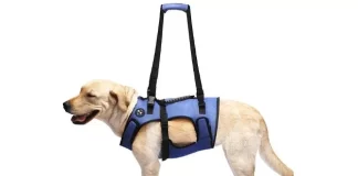 Best Dog Lift Harness