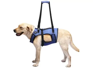 Best Dog Lift Harness