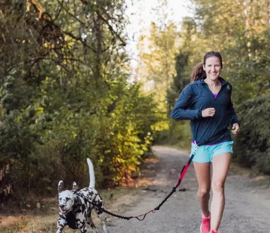 Best Leash for Running With Dog
