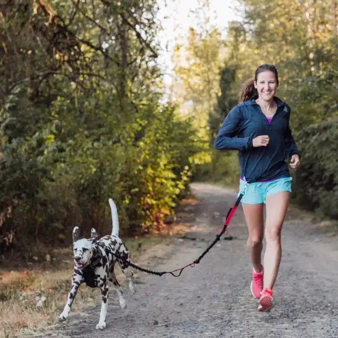 Best Leash for Running With Dog
