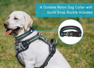 WINSEE Dog Harness Pet Harnesses with Dog Collar