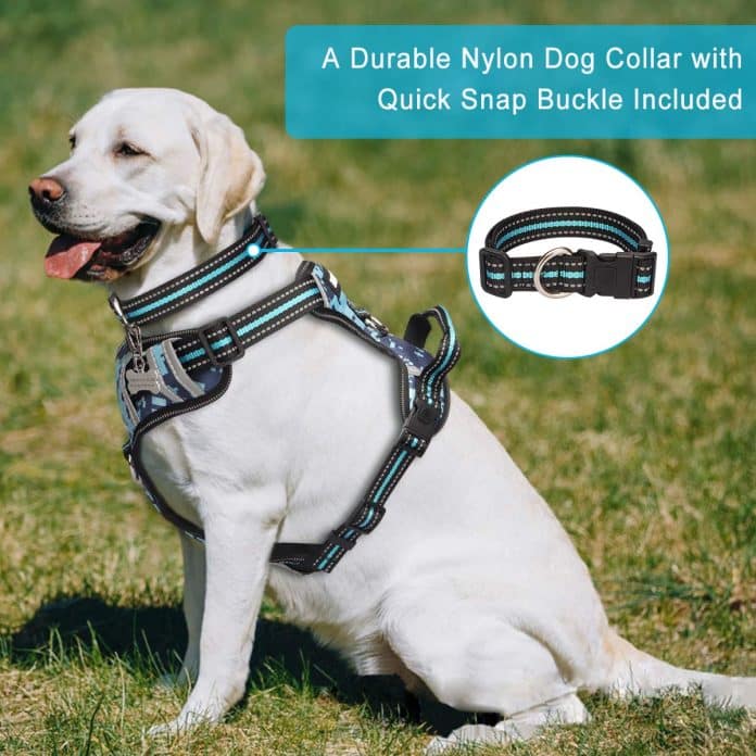 WINSEE Dog Harness Pet Harnesses with Dog Collar