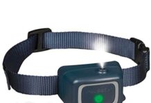 petsafe spray bark dog collar automatic anti bark device for dogs 8 lb and