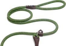 Fida Durable Slip Lead Dog Leash, 6 FT x 1/2" Heavy Duty Dog Loop Leash, Comfortable Strong Rope Slip Leash for Large, Medium Dogs, No Pull Pet Training Leash with Highly Reflective, Green