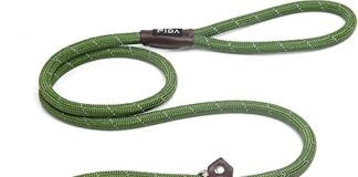 Fida Durable Slip Lead Dog Leash, 6 FT x 1/2" Heavy Duty Dog Loop Leash, Comfortable Strong Rope Slip Leash for Large, Medium Dogs, No Pull Pet Training Leash with Highly Reflective, Green