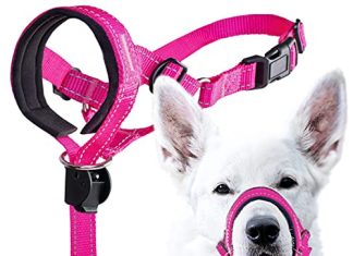 GoodBoy Dog Head Halter with Safety Strap - Stops Heavy Pulling On The Leash - Padded Headcollar for Small Medium and Large Dog Sizes - Head Collar Training Guide Included (Size 2, Pink Nylon)