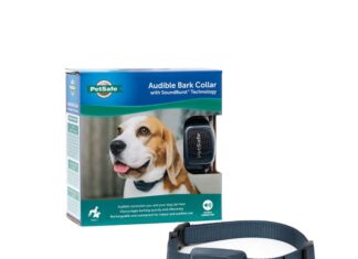 are bark collars safe for my dog 4