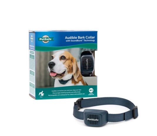 are bark collars safe for my dog 4