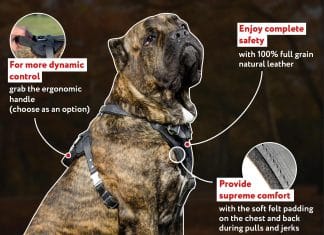 are leather harnesses bad for dogs 4