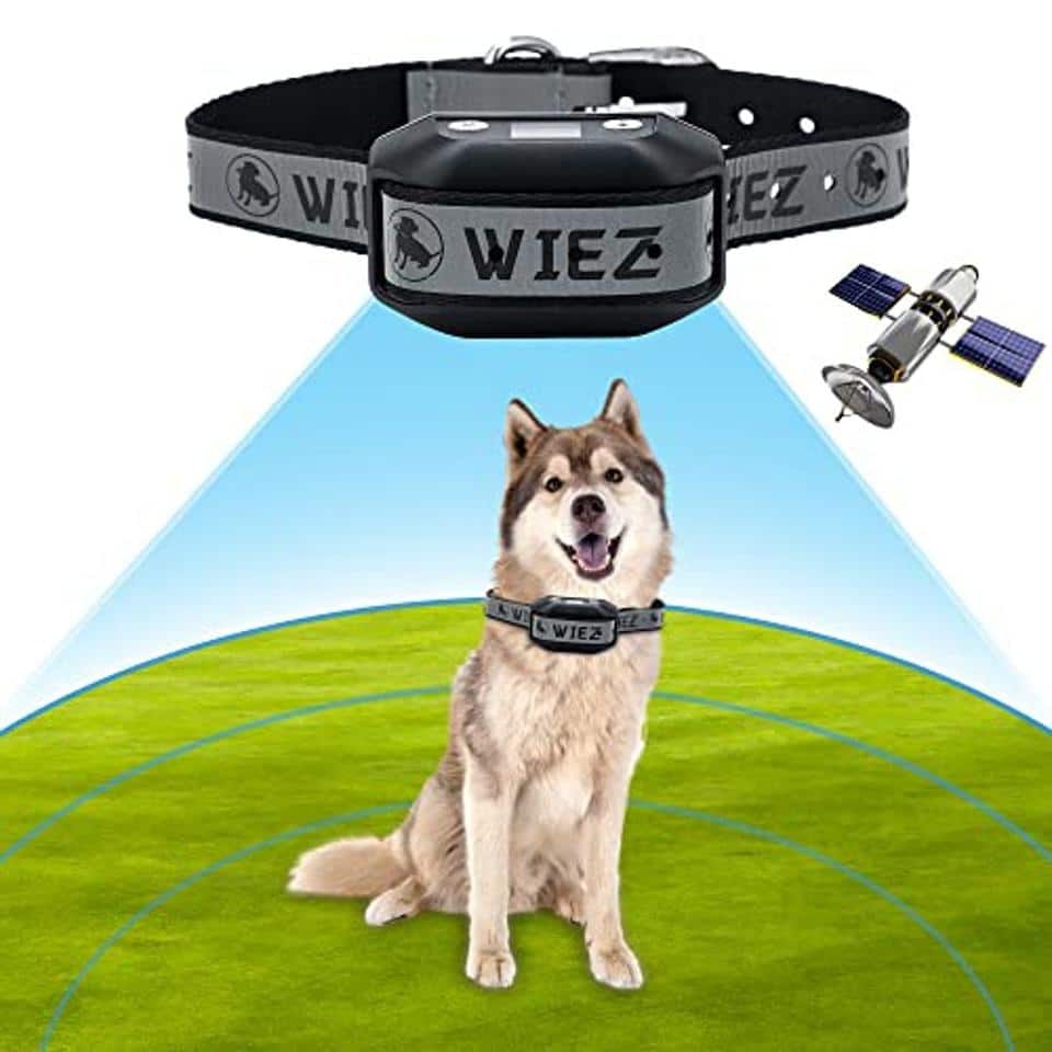 Are Wireless Dog Fences Safe For My Dog?