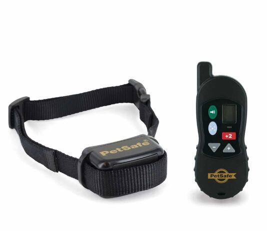 do vibration collars work on dogs 4