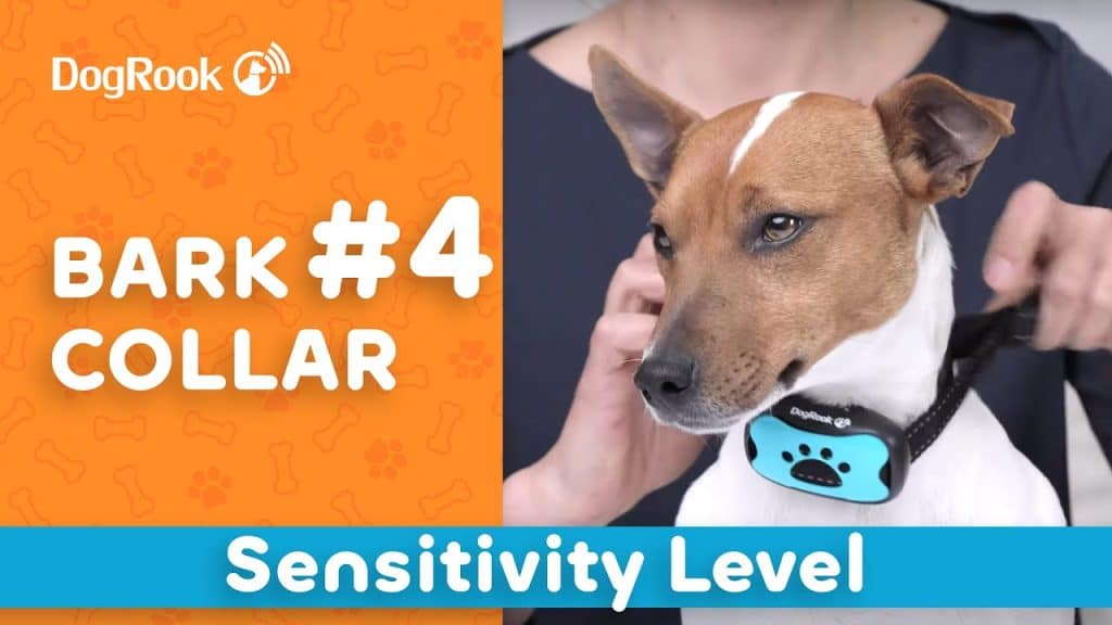 How Do I Choose The Right Bark Collar Sensitivity For My Dog?