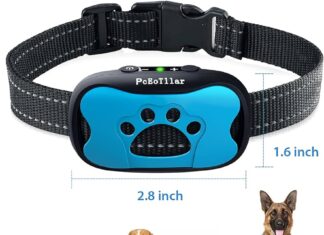 how do i choose the right bark collar sensitivity for my dog 4